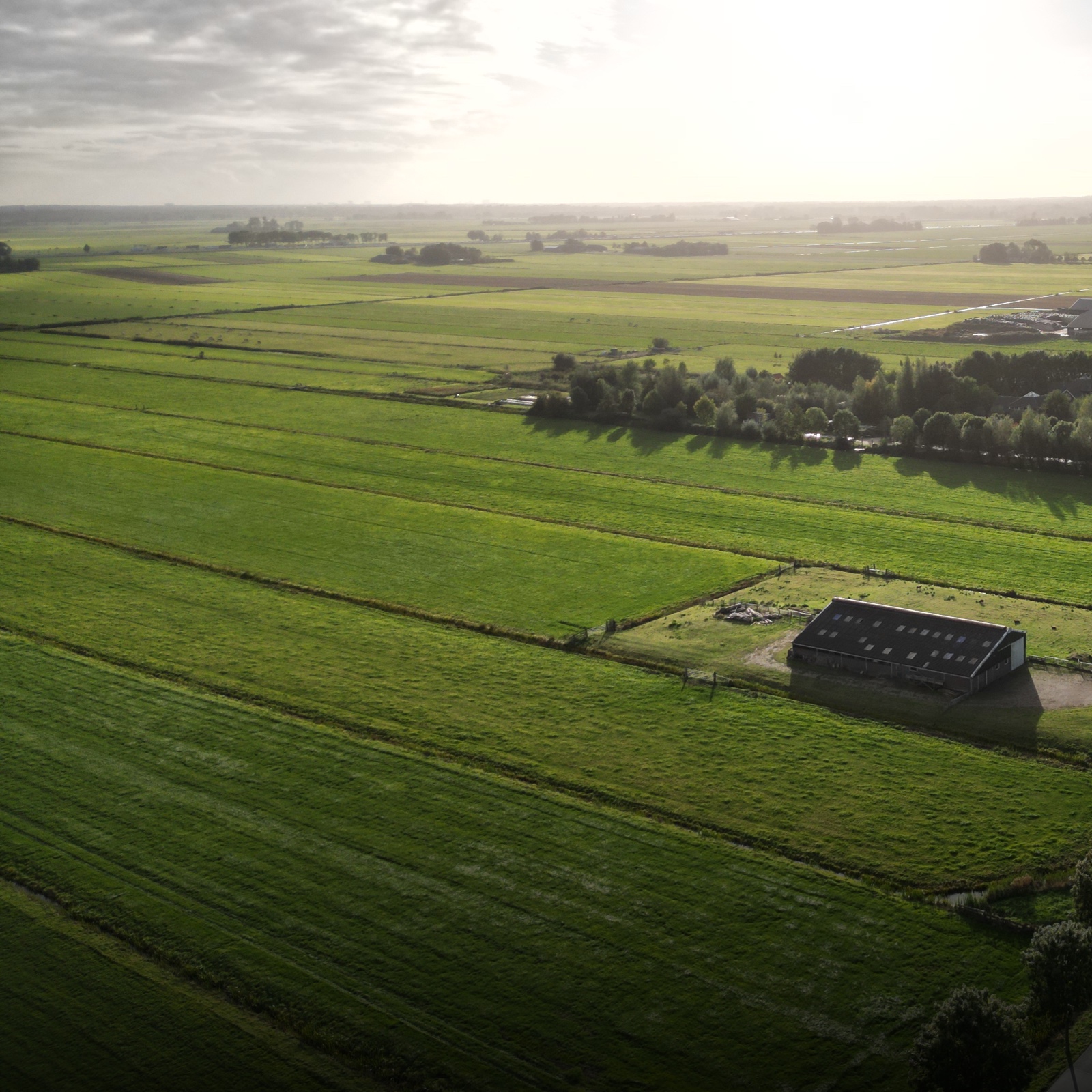 Shot by Drone - Natuur